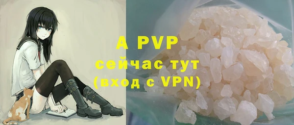 ПСИЛОЦИБИНОВЫЕ ГРИБЫ Кулебаки