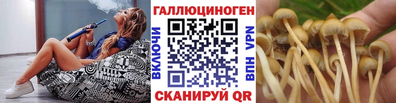 Псилоцибиновые грибы Psilocybe  купить наркотик  Усть-Катав 